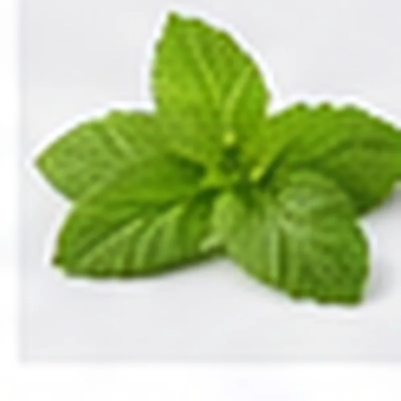 Lemon Balm